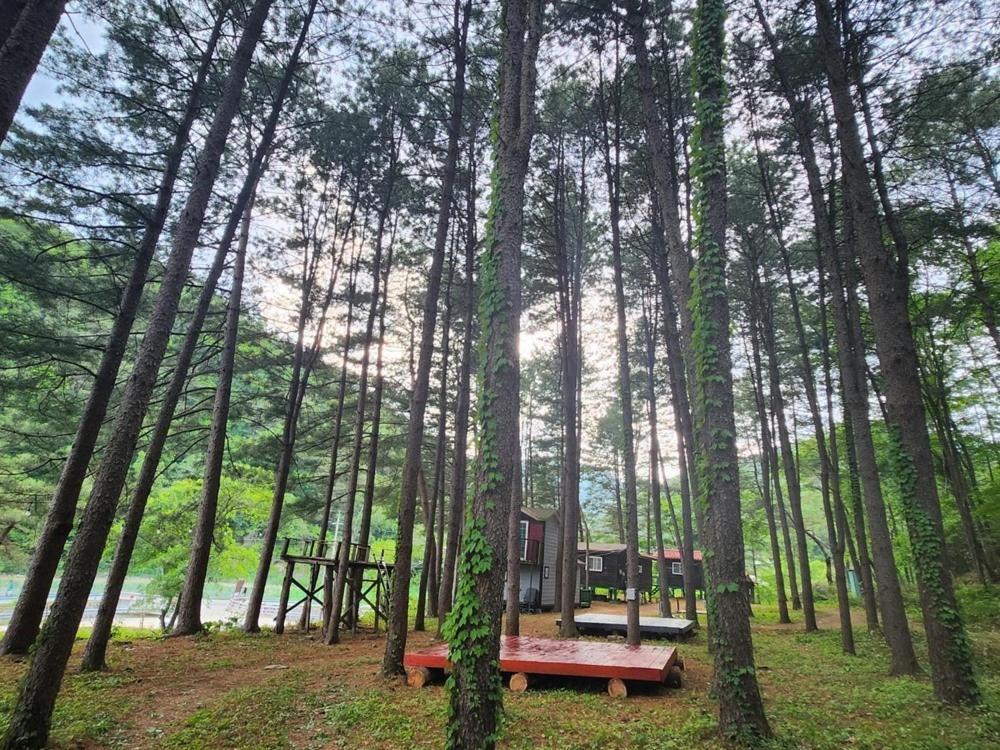 Hongcheon Gongjaksan Recreational Forest Pension Exterior foto